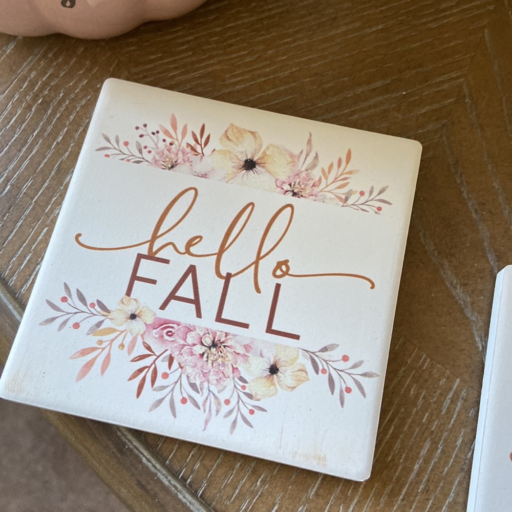 NEW! Shabby Chic Hello Fall Floral Autumn Harvest Ceramic Stoneware Coaster Set - Picture 8 of 10